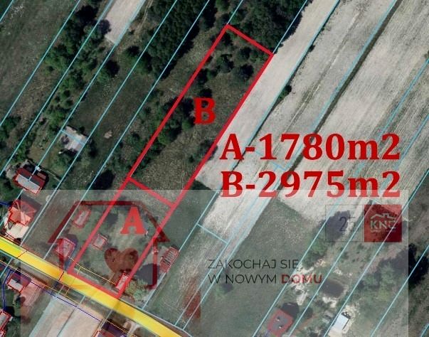 Działka budowlano-rolna Wola Mieczysławska