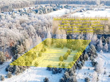 Działka Kolonia Góra Puławska