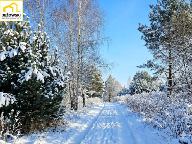 Działka Kolonia Góra Puławska