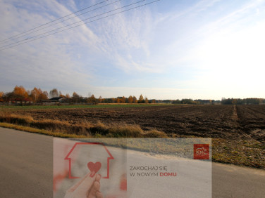 Działka Sobolew-Kolonia