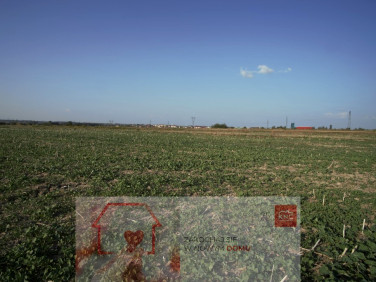 Działka budowlana Długie sprzedam