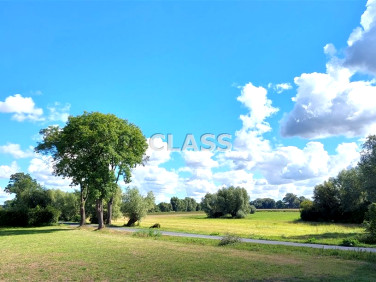 Działka budowlana Rynarzewo