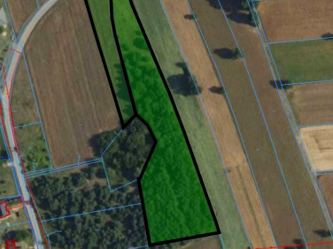 Działka nad jeziorem