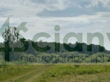 Działka budowlana Wolica
