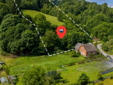 Działka leśna Rzyki