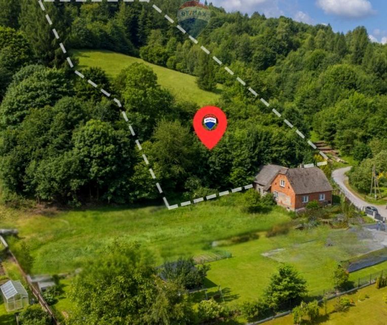 Działka leśna Rzyki