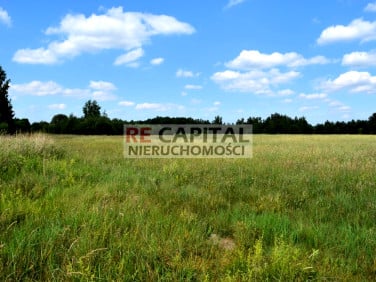Działka rolna Wojcieszyn