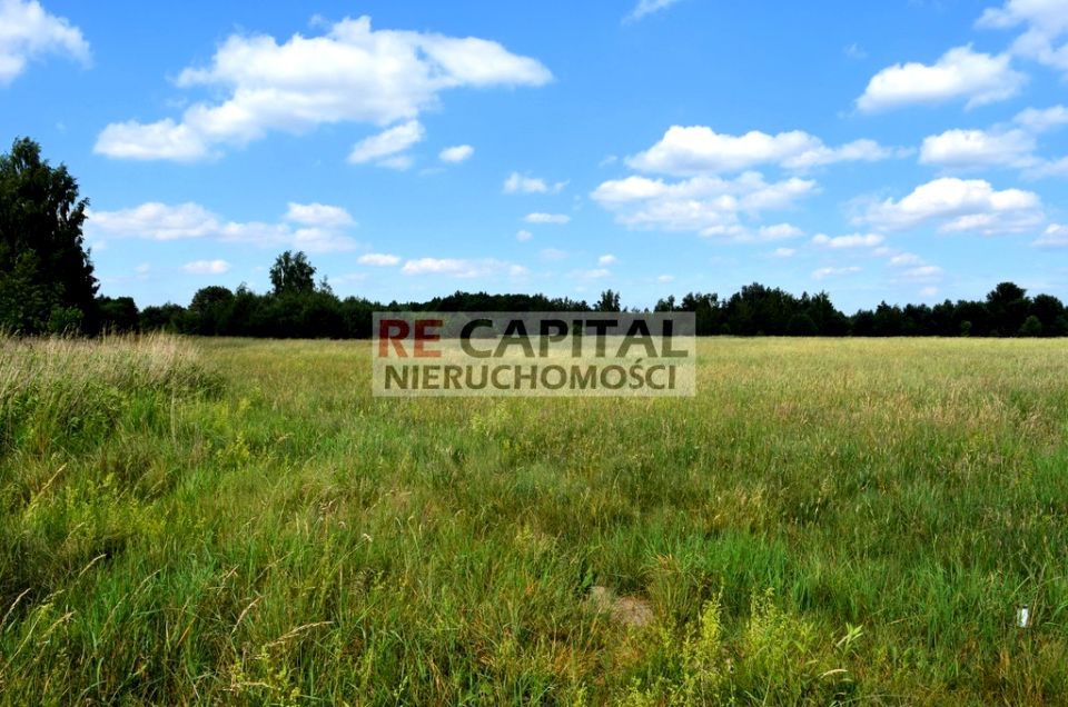 Działka rolna Wojcieszyn