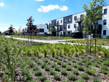 Mieszkanie Lutynia sprzedaż