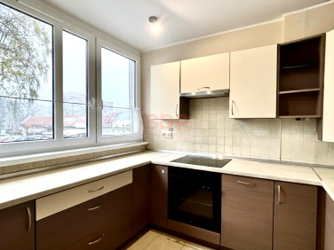 Mieszkanie Oleśnica