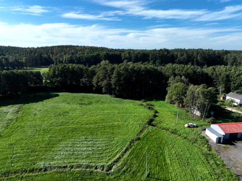 Działka Wiewiórowo