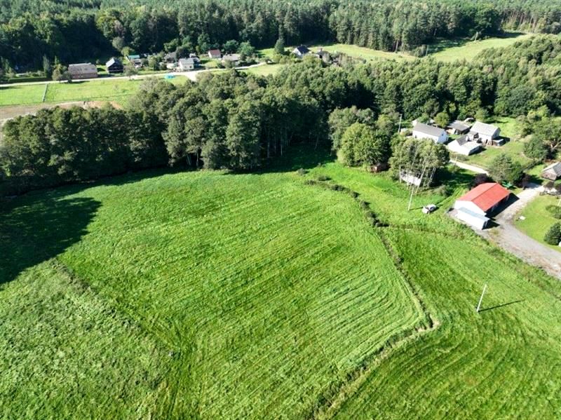 Działka Wiewiórowo