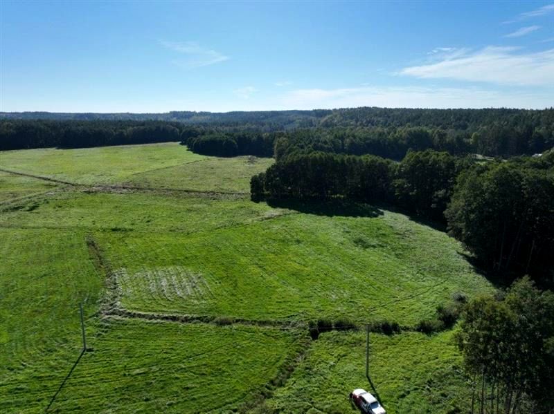 Działka Wiewiórowo