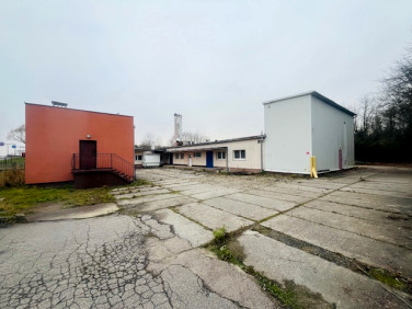 Budynek użytkowy Sępólno Krajeńskie