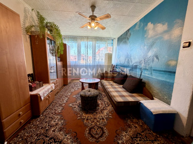 Mieszkanie Ząbkowice Śląskie