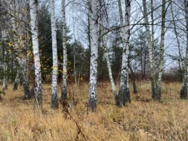 Działka budowlana Słupno