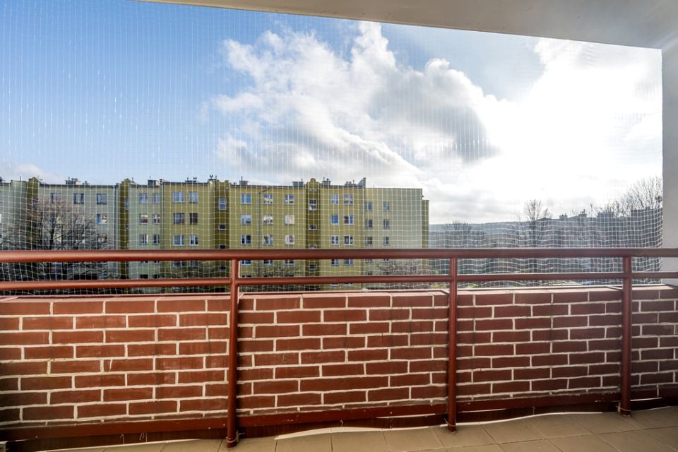 Zdjęcie 2