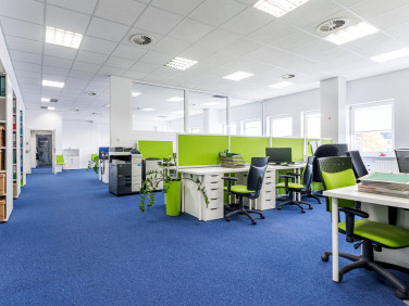 Lokal Lublin wynajem