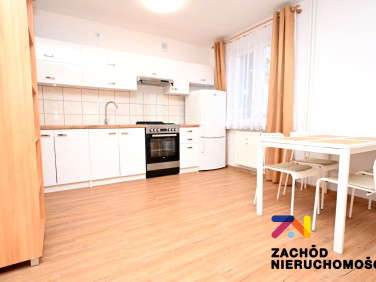 Mieszkanie przy lesie