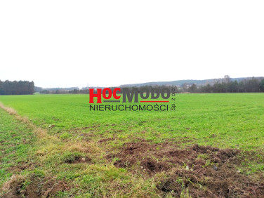 Działka budowlana Serock