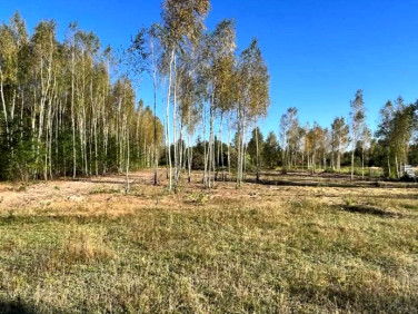 Działka budowlana Orchówek