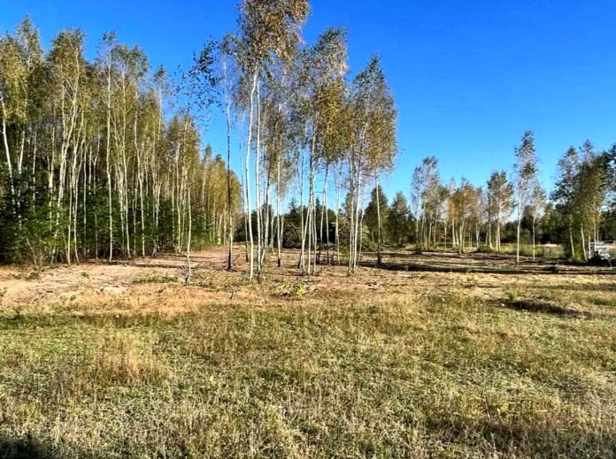 Działka budowlana Orchówek