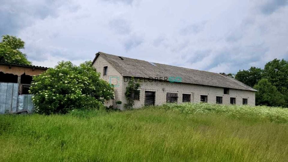 Zdjęcie 2