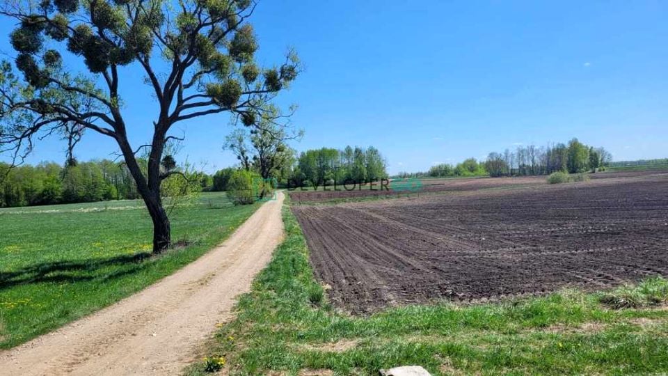 Zdjęcie 3