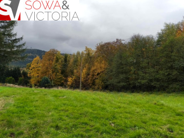 Działka Boguszów-Gorce