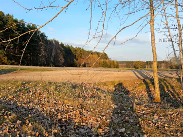 Zabudowana działka Nowa Wieś
