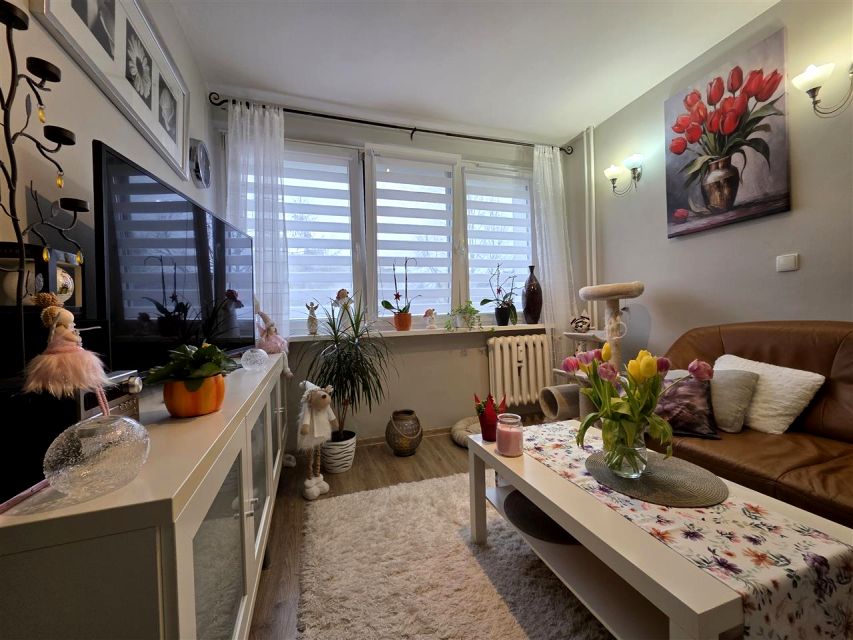 Mieszkanie Koszalin sprzedaż