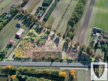 Działka usługowa Kock