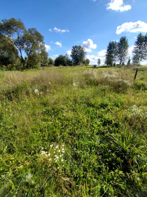 Działka budowlano-rolna Chruściele