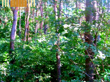 Działka budowlana Sulejówek