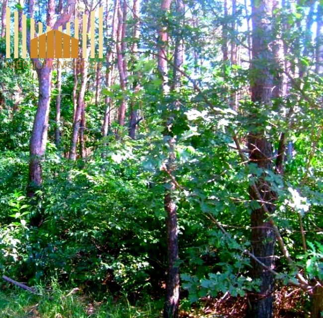 Działka budowlana Sulejówek