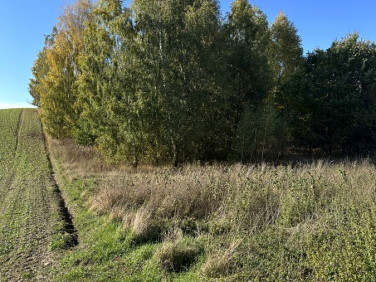 Działka budowlana Płouszowice