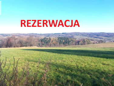 Działka rolna Niedźwiedzica sprzedam