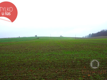 Działka rolna Gronów