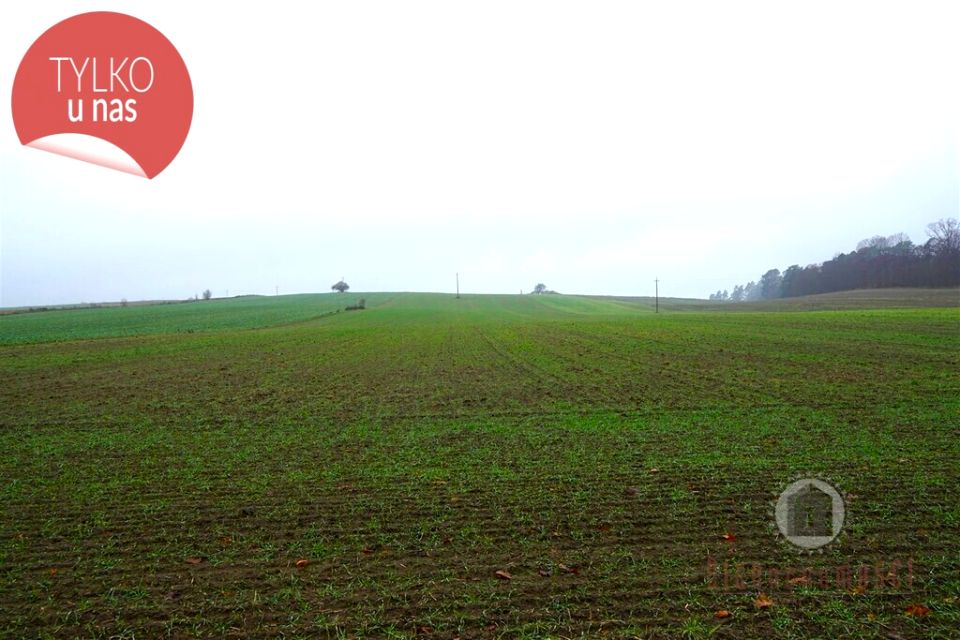 Działka rolna Gronów