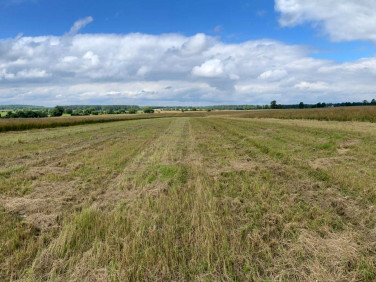 Działka rolna Wrząca