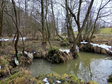 Działka rolna Olszyny