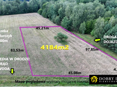 Działka rolna Pokaniewo-Kolonia