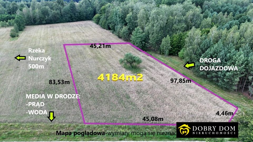 Działka rolna Pokaniewo-Kolonia
