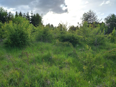 Działka budowlana Żukczyn