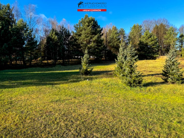 Działka budowlana Rychlik