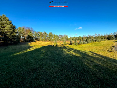 Pusta działka Rychlik