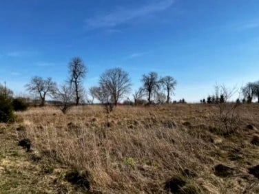 Działka budowlana Konin