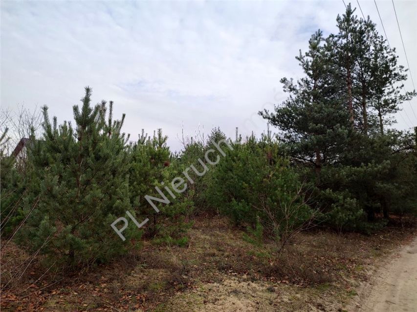 Działka budowlana Żółwin