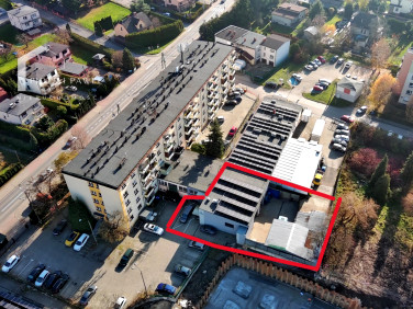 Lokal Bielsko-Biała