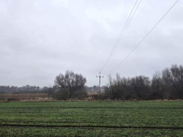 Działka rolna Kolonia Świdnik Mały